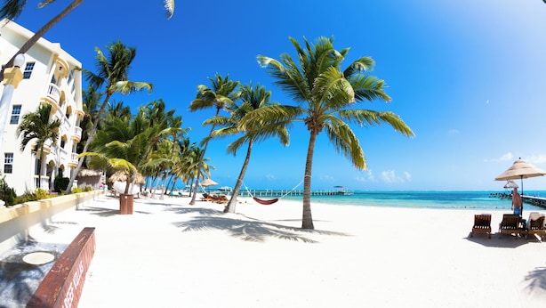 Una playa con palmeras, una hamaca y un edificio con balcones.