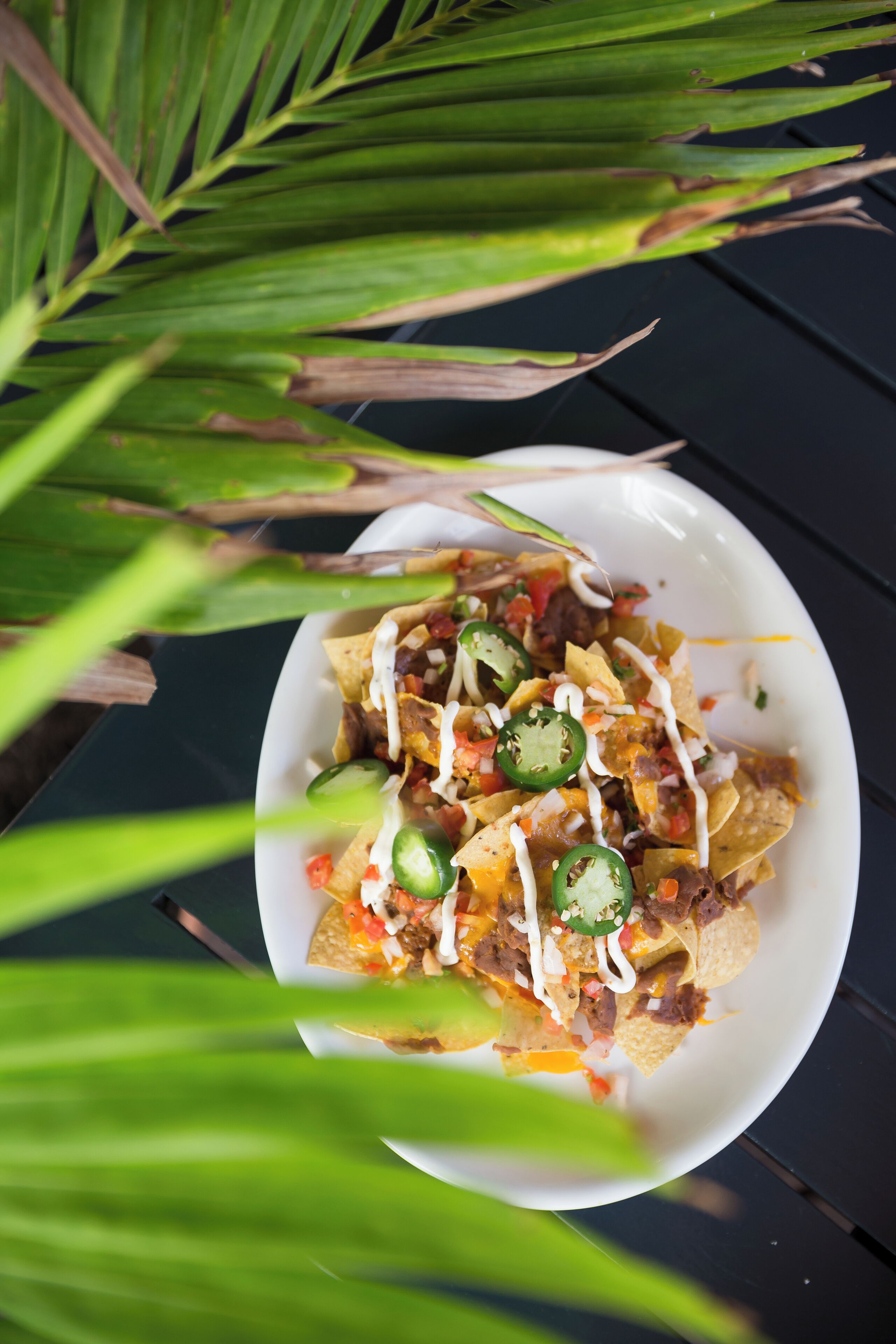 Un plato de nachos con ingredientes adicionales, sobre una superficie oscura con follaje verde al frente.