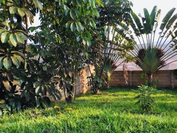 المنطقة المحيطة بالمنشأة