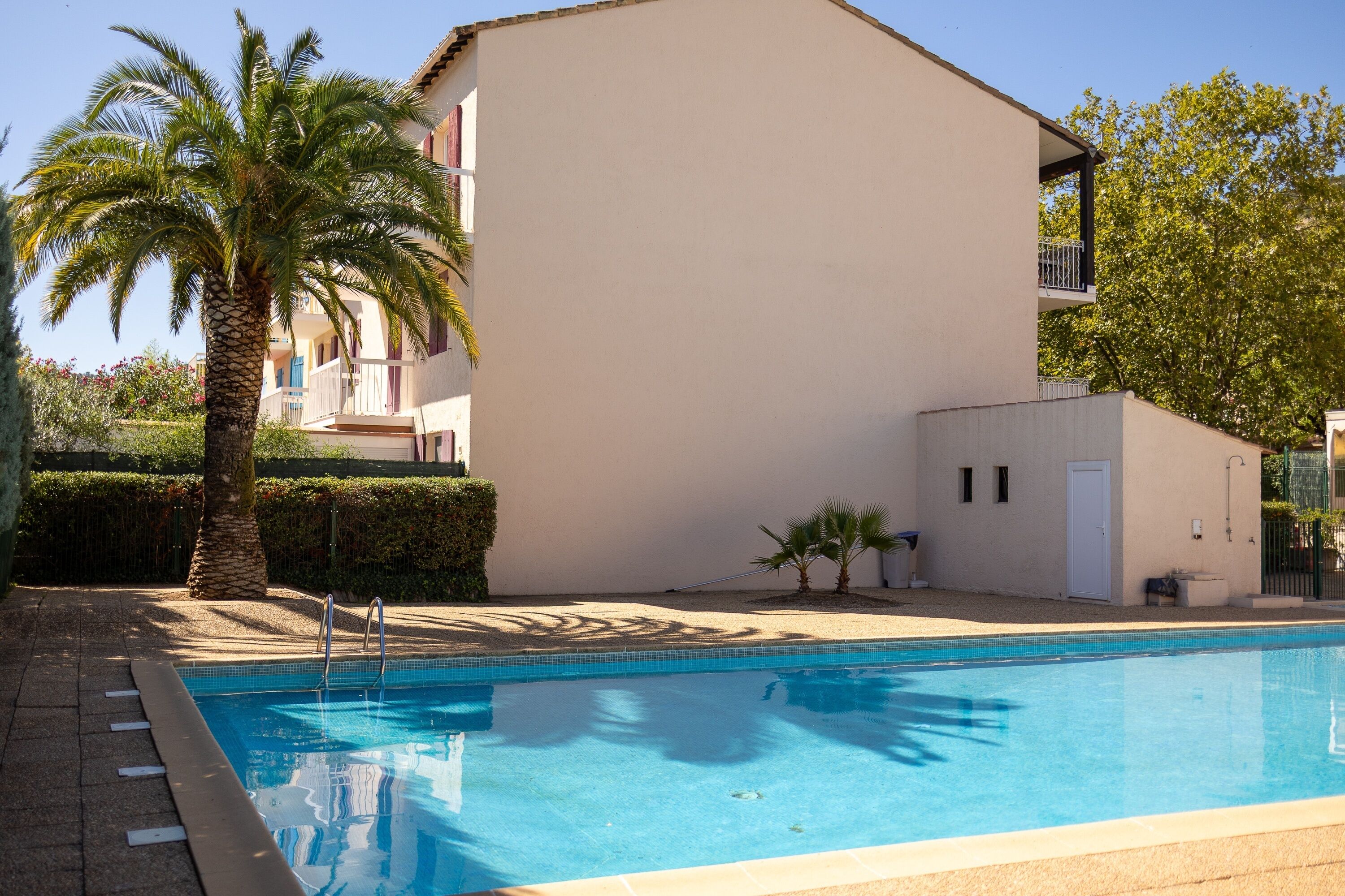 A swimming pool with a clear blue water surface, surrounded by a low wall and a palm tree.