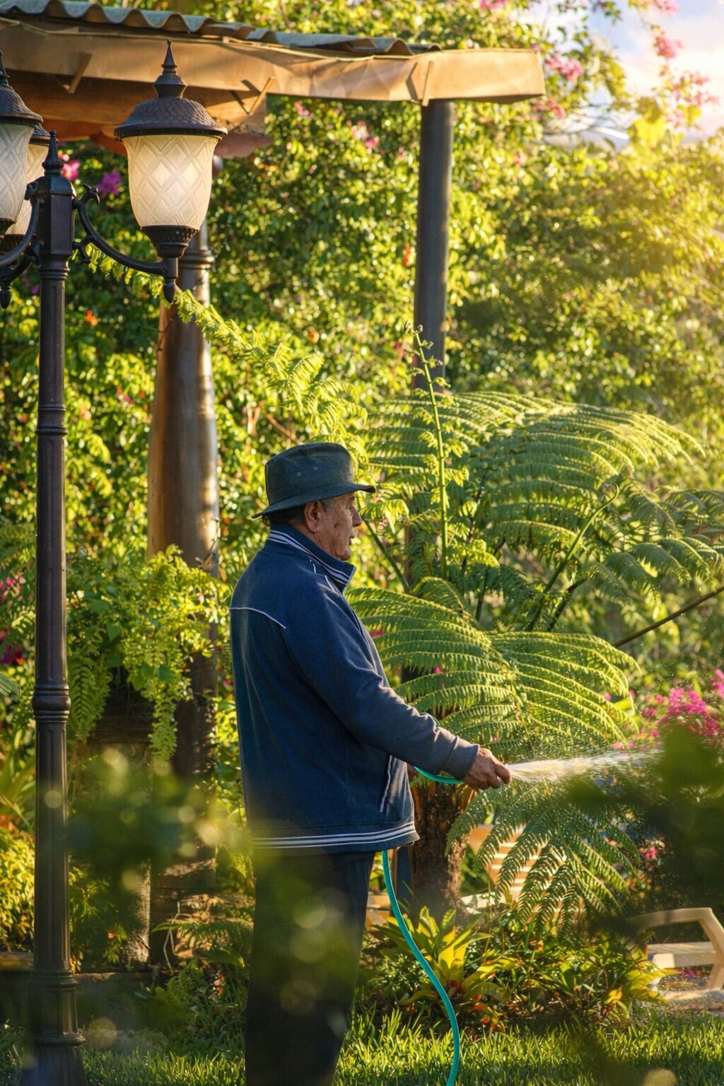A person watering plants in a garden with a pergola and street lamps.