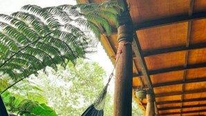 Una persona relajándose en una hamaca bajo una pérgola de madera, leyendo un libro, con abundante follaje y plantas en macetas alrededor.