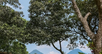 Los Cuatro Olivos Hotel Boutique