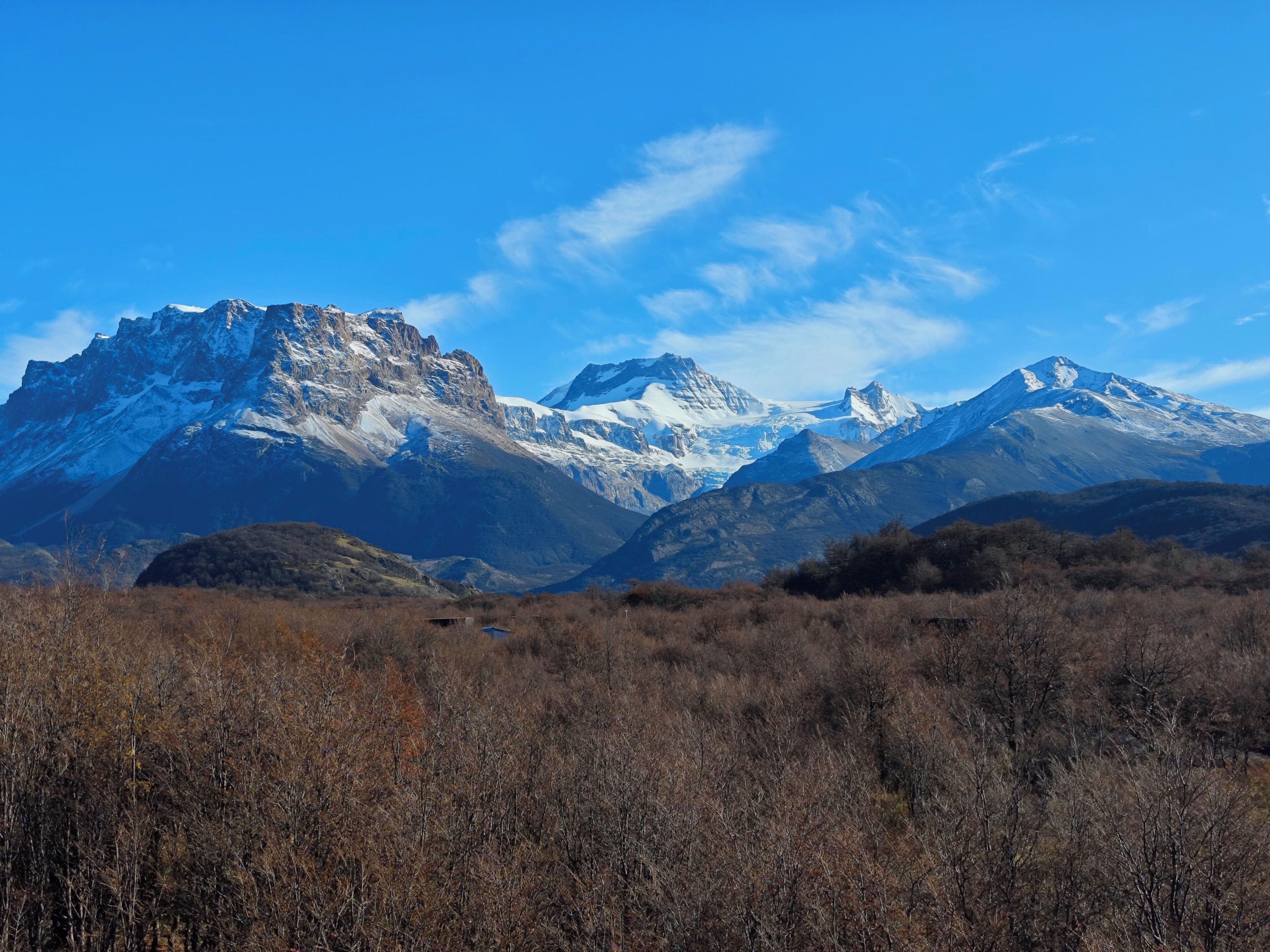 Eine Berglandschaft mit schneebedeckten Gipfeln und einer Vordergrundvegetation aus Trockenpflanzen.