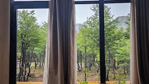 Una habitación con ventanas amplias, suelo de madera y plantas en macetas.