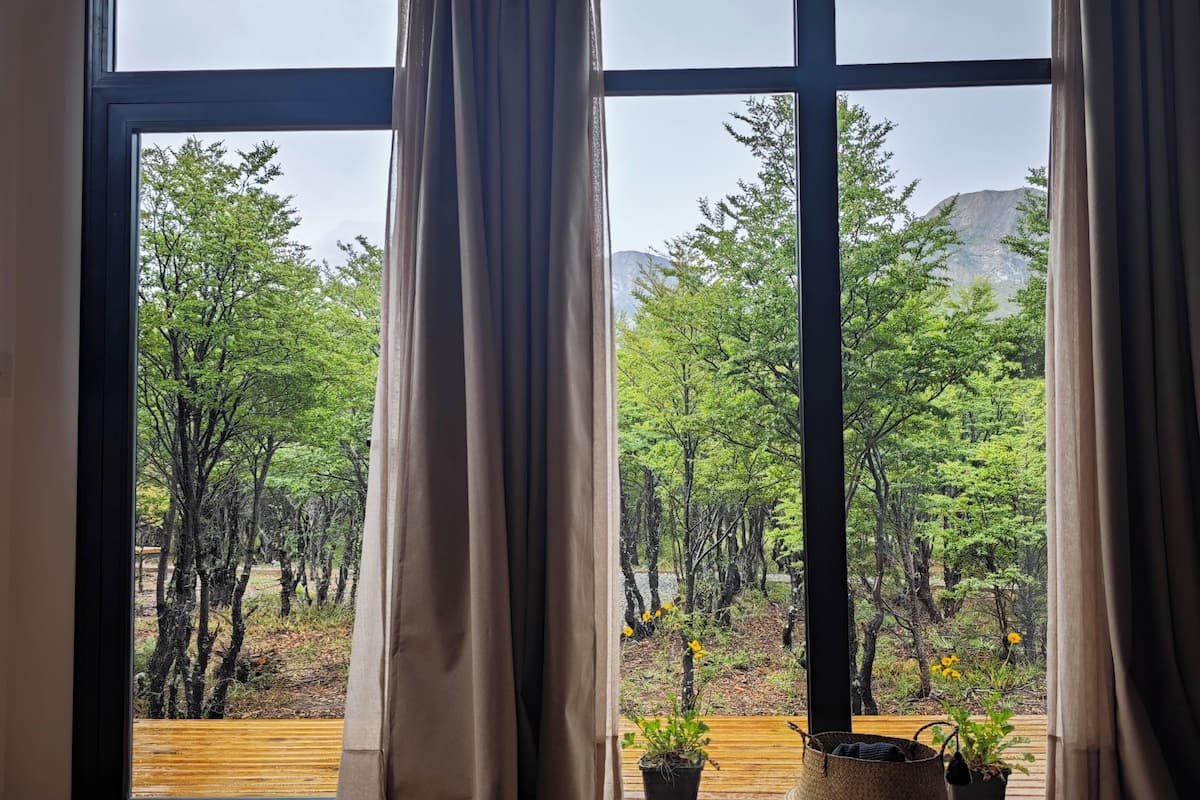 A room with large windows, wooden flooring, and potted plants.