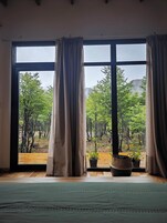 Una habitación con ventanas amplias, suelo de madera y plantas en macetas.
