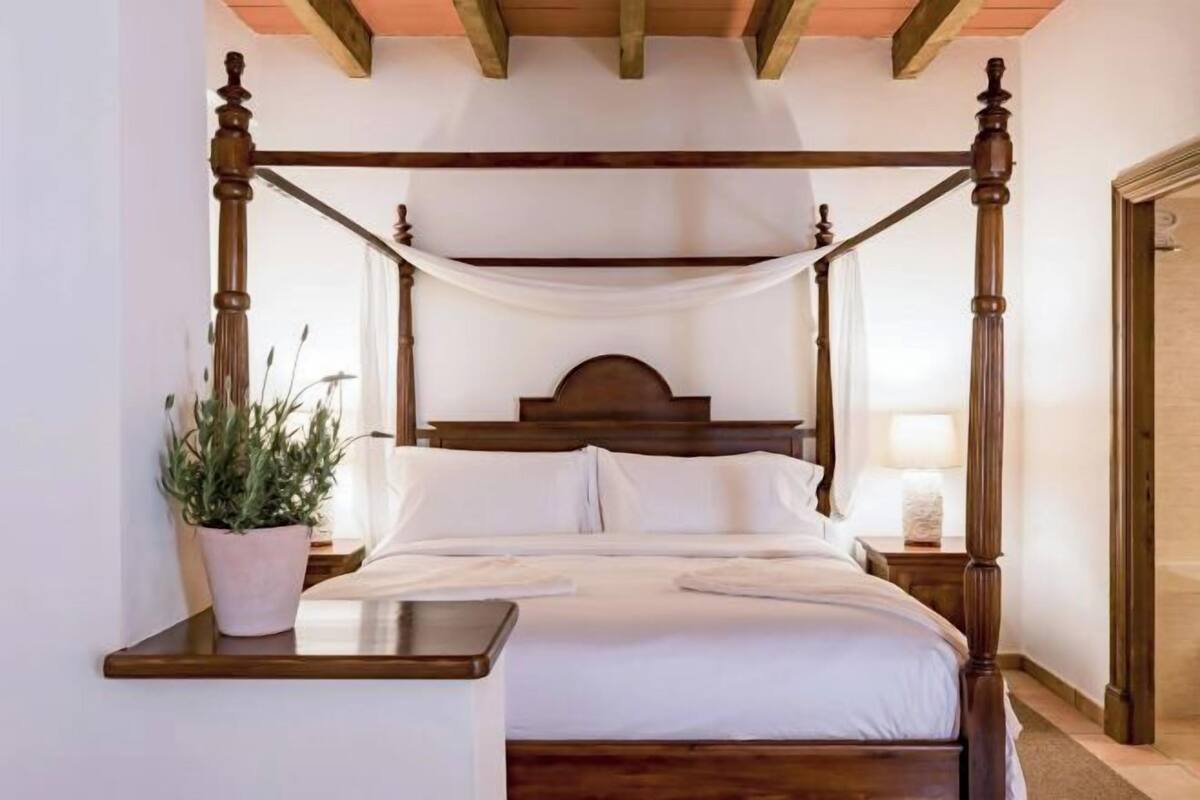 Ein Bett mit Baldachin, ein Nachttisch mit Pflanze und ein Beistelltischchen mit Lampe.