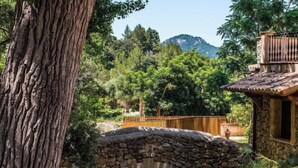 Un puente de piedra en un jardín exuberante, con una montaña al fondo.