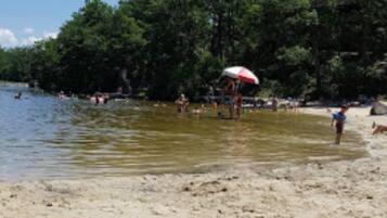 A beach with people swimming and standing in shallow water, surrounded by trees.