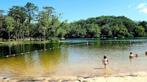 Un lago de aguas transparentes, rodeado de árboles y una orilla arenosa.