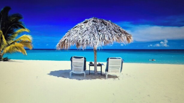 A beach with two lounge chairs, a thatched umbrella, and a palm tree. - Island Breeze Villa Palm Beach/Noord 7 minutes walking to the nearest beach (Palm Beach/Noord)
