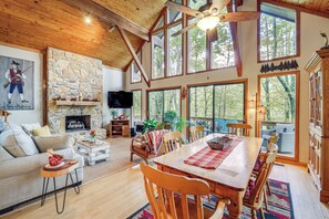 TV, fireplace, books