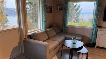 TV, fireplace, video games, stereo