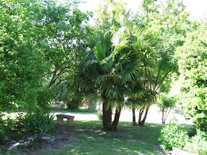 A park with a stone bench, palm trees, and various shrubs. - 2 minutes from Beauval Zoo - SEIGY - LE GITE DES ECUREUILS 4 / 6 persons (Seigy)