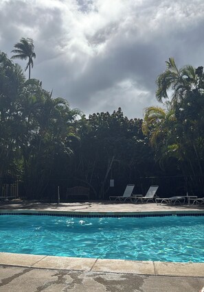 Ein Swimmingpool mit Liegestühlen und Palmen.
