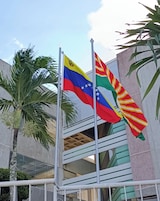 Duas bandeiras em mastros, em frente a um edifício com fachada de vidro e uma palmeira.