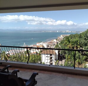 Property grounds -  Penthouse suite with dipping pool, palapa & private sunroof overlooking the Bay (Puerto Vallarta)