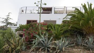 Detalle del exterior