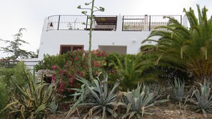 Detall de l'exterior