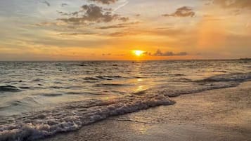 بالقرب من الشاطئ