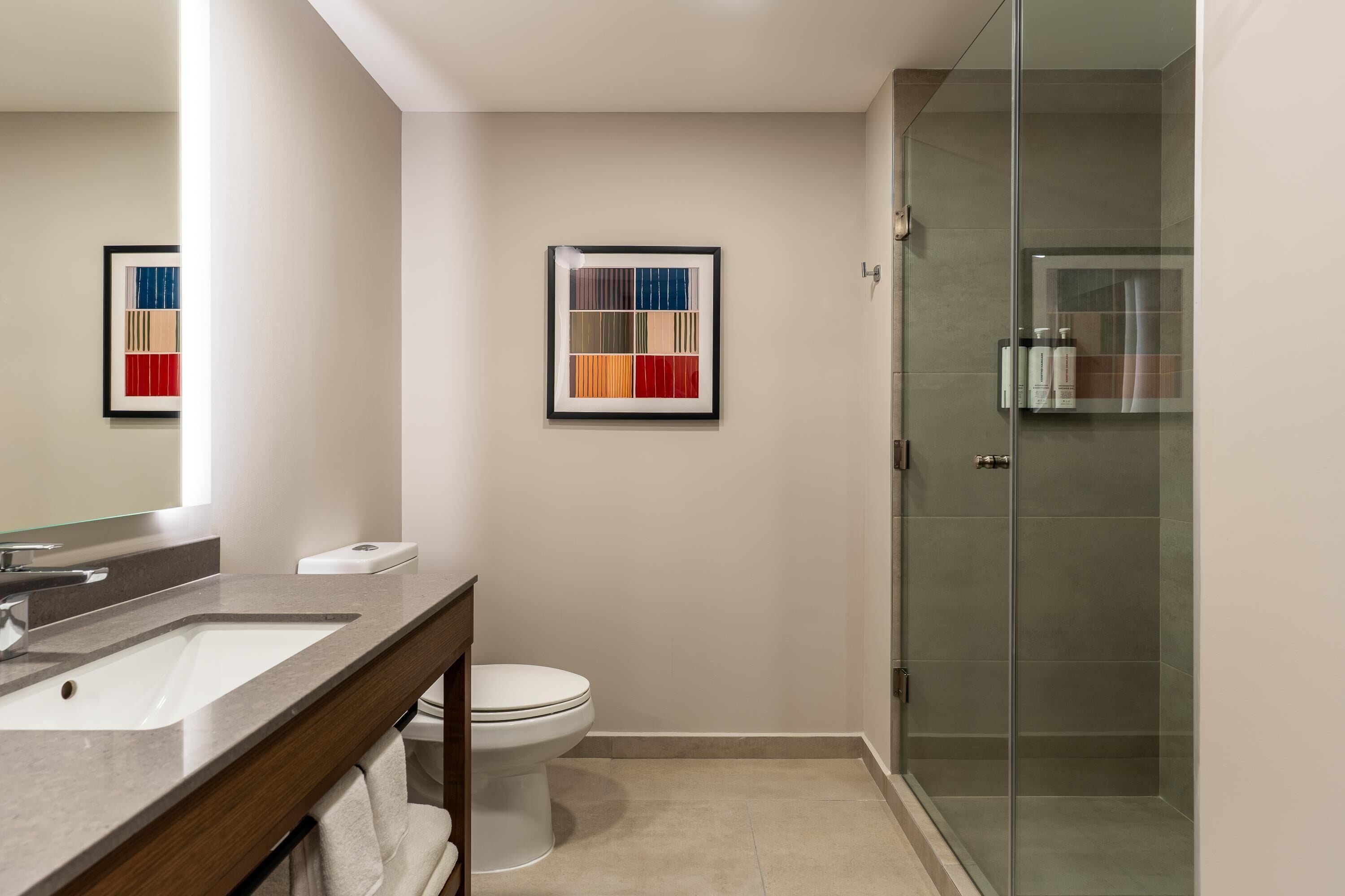 A modern bathroom with a glass shower enclosure, a white toilet, and a vanity with a mirror.