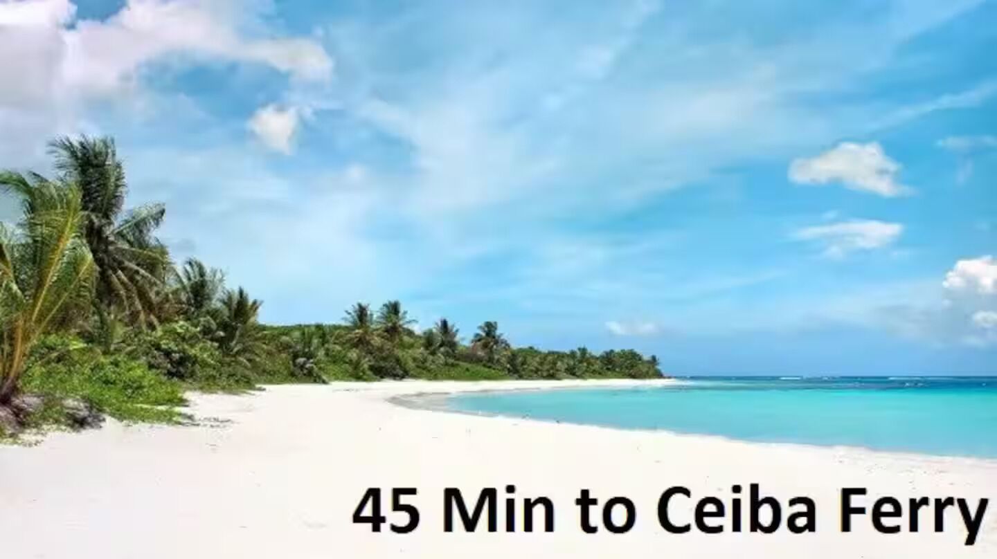 Sun loungers, beach towels