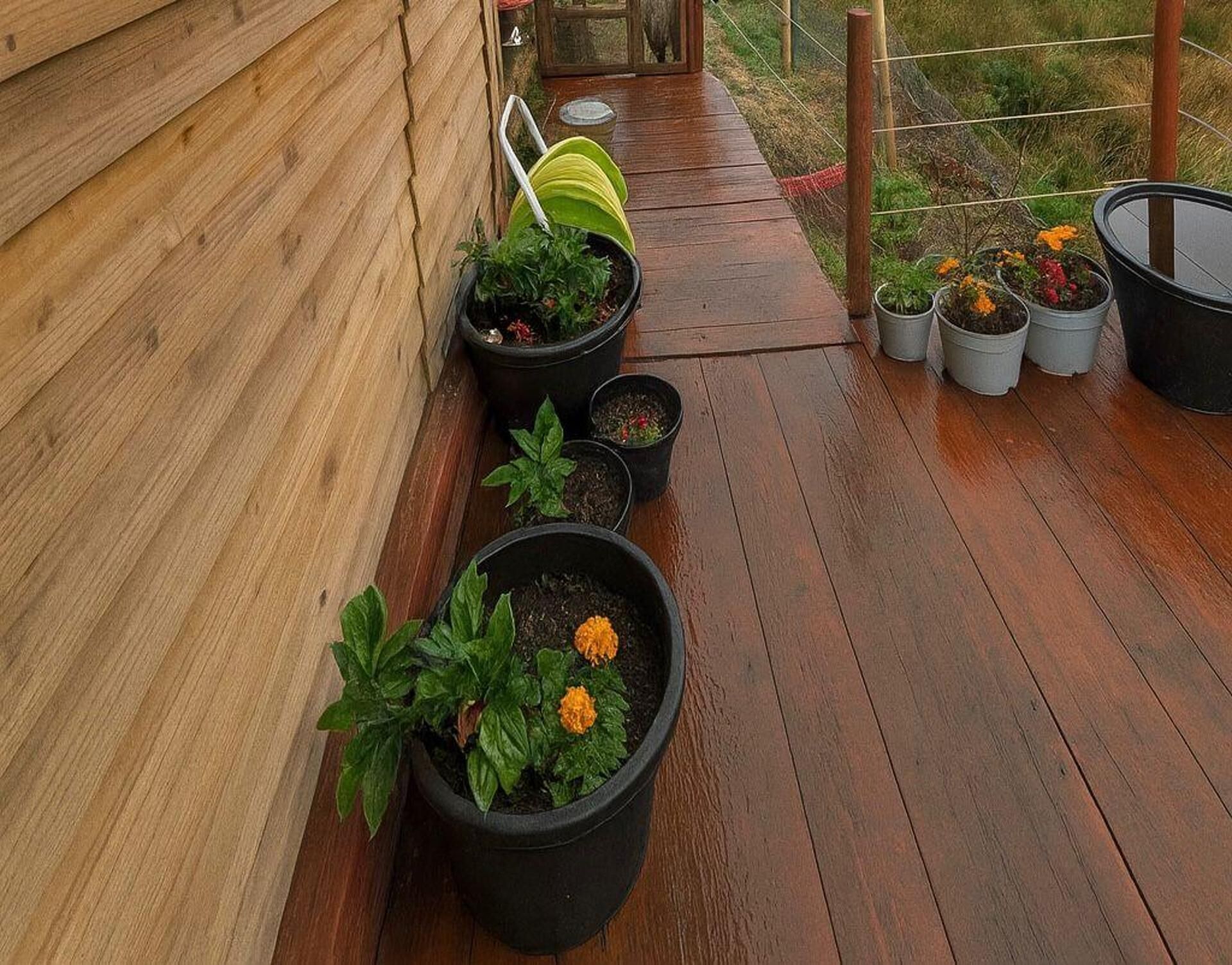 Khuôn viên nơi lưu trú