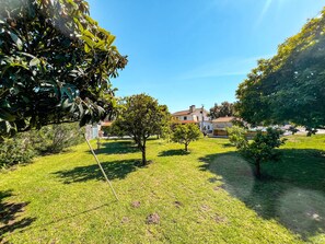 A grassy outdoor area with trees and a building in the background.