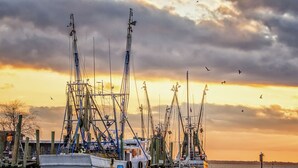 Ein Hafen mit mehreren Fischerbooten, die an einem Steg im Sonnenuntergang liegen.