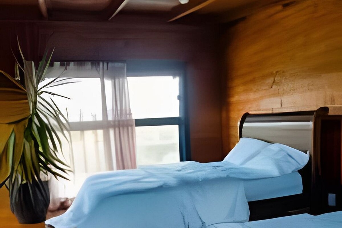 A room with two beds, wooden walls, a large window, and a potted plant.