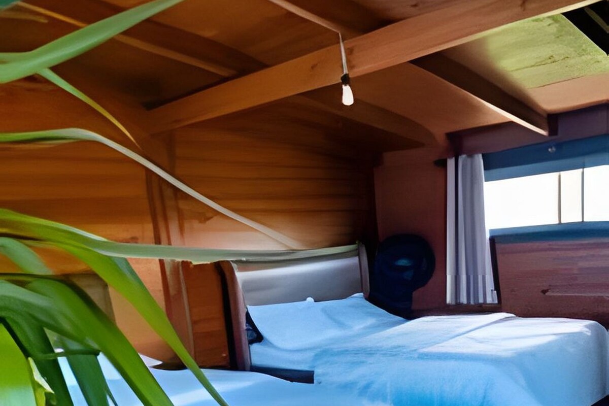 Interior de una cabaña de madera con dos camas, un ventilador de techo y una ventana.