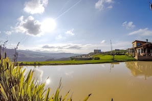 Un paisaje sereno con un cuerpo de agua que refleja el cielo, una zona cubierta de hierba y un edificio de estilo arquitectónico distintivo.