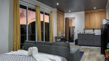 Free minibar, laptop workspace, iron/ironing board, free WiFi