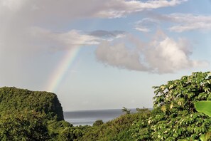 Vue depuis le balcon