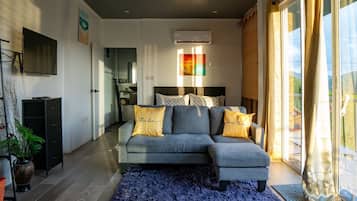 Free minibar, laptop workspace, iron/ironing board, free WiFi