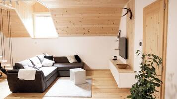 Een televisie en een open haard