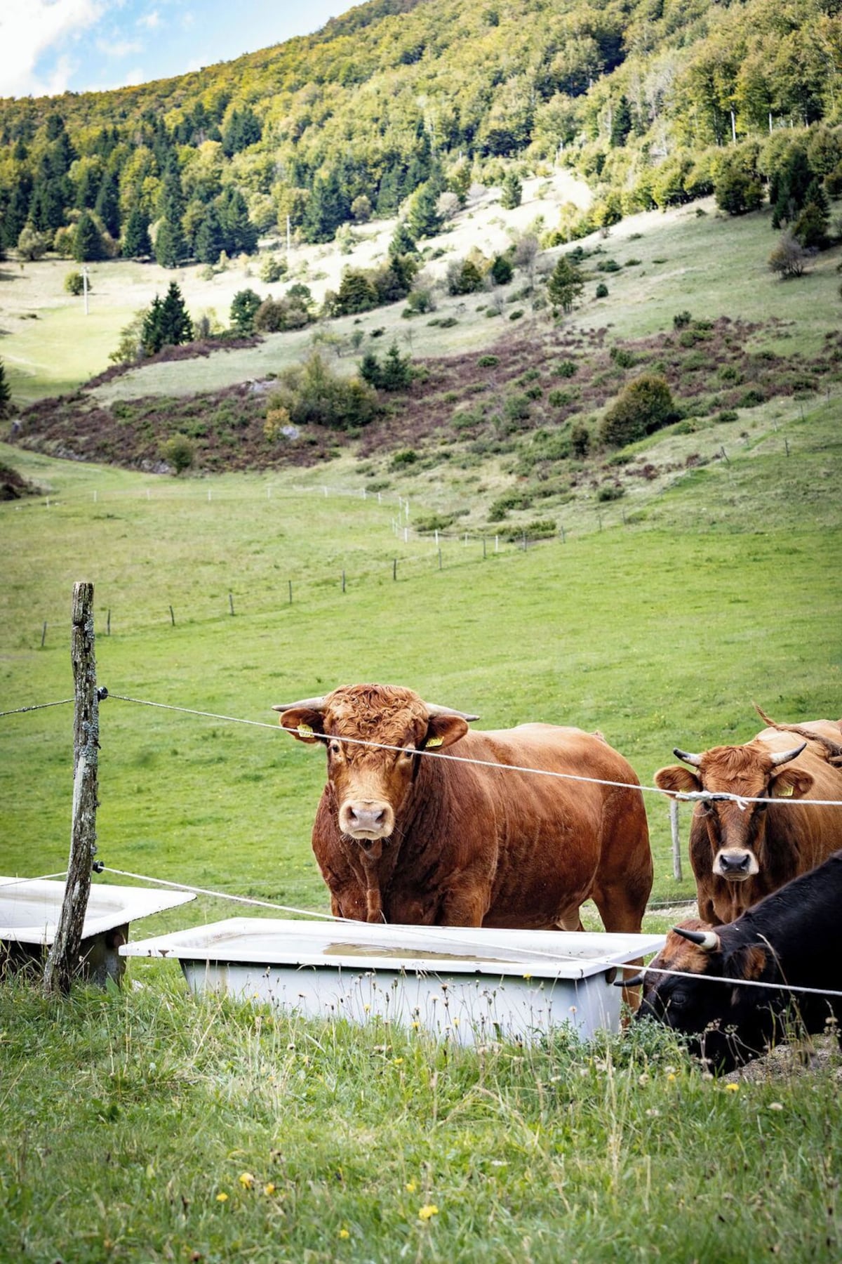 Bild für Gastgeberprofil