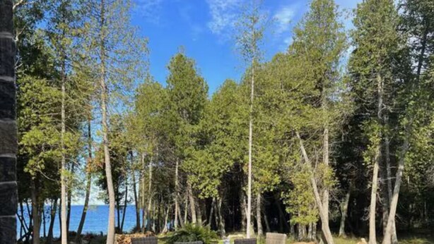 Un patio al aire libre con mobiliario de mimbre, una mesa de madera y vista a un lago.