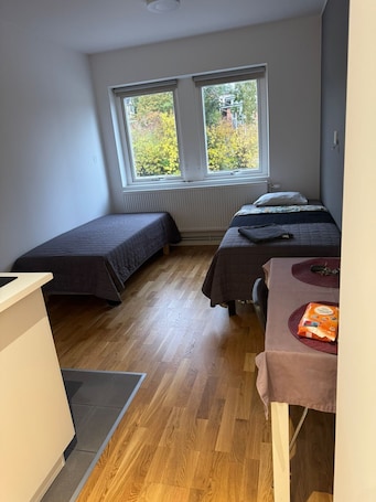 1 habitación, wifi gratis y ropa de cama