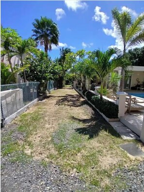 A pathway lined with palm trees and a pool area on the right.