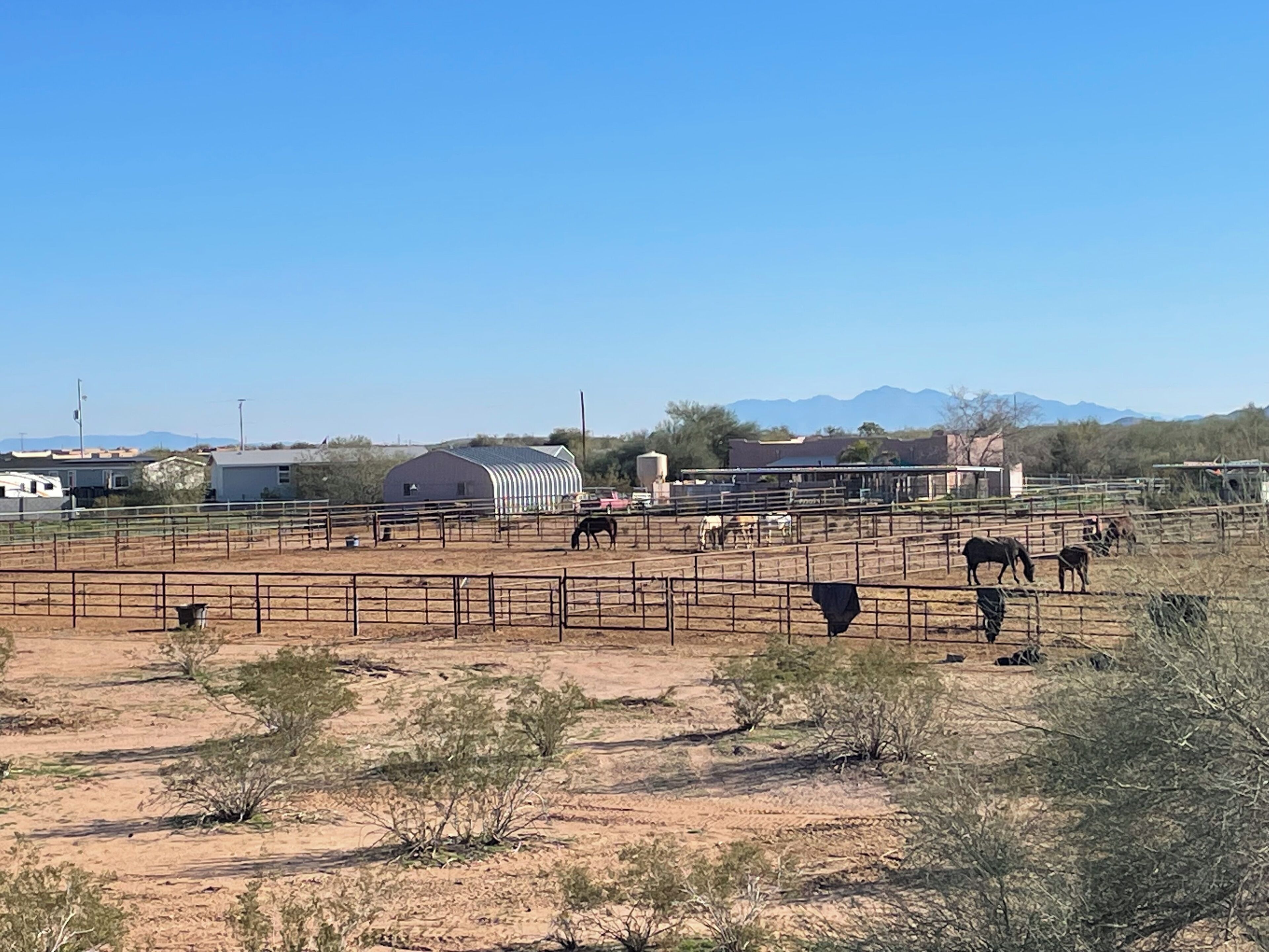 Eine von einer Zäunung umgebene Ranch mit Pferden und einem Stall im Hintergrund.