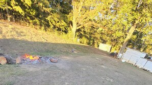 Een hond in een tuin met een vuur en bomen op de achtergrond.