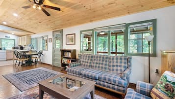 TV, fireplace, video games, DVD player