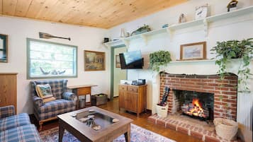 TV, fireplace, video games, DVD player