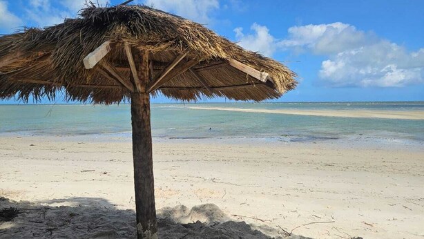 A beach with a thatched umbrella and a palm tree. - Ap. André Ângelo (Sirinhaém)