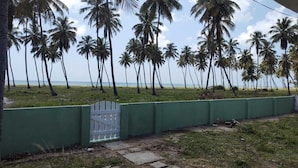 A beach view with palm trees and a green fence. - Ap. André Ângelo (Sirinhaém)