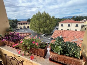Property grounds - Charming Lucca apartment on Via Fillungo with terrace, AC and space for 6 (Lucca)