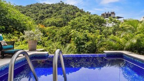 A swimming pool with metal ladders, surrounded by lush greenery and a view of a hill with buildings.