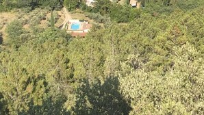 A rural landscape with scattered houses amidst dense greenery. - La Téolière (countryside and private pool) (FIGANIERES)